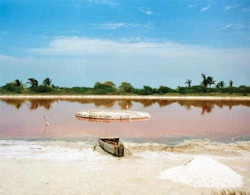 Fried Waters