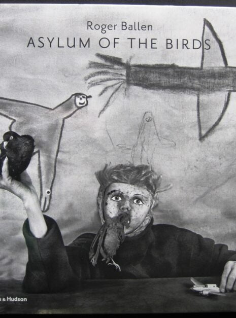 asylum of the birds