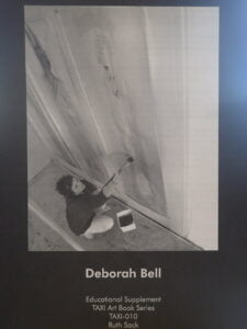 TAXI Art Book Educational Supplement: Deborah Bell