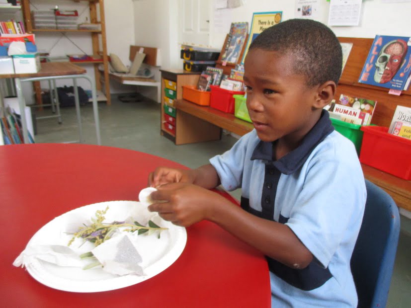 Exploring our world through smell and taste