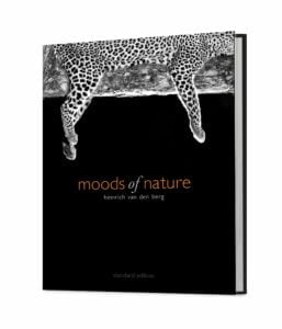 Moods of Nature