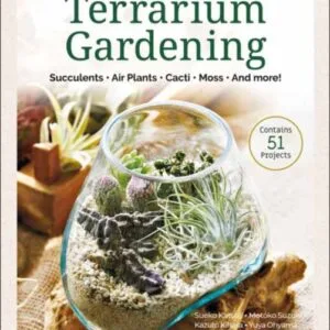 A Beginner's Guide to Terrarium Gardening