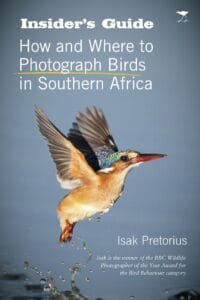 Insider's Guide - How and Where to Photograph Birds in Southern Africa