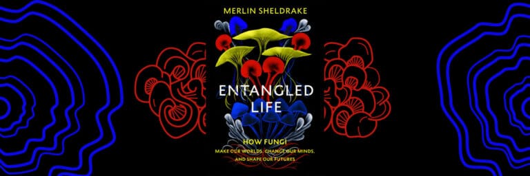 Book Review | Entangled Life by Merlin Sheldrake