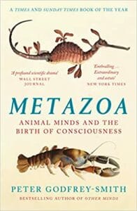 Metazoa