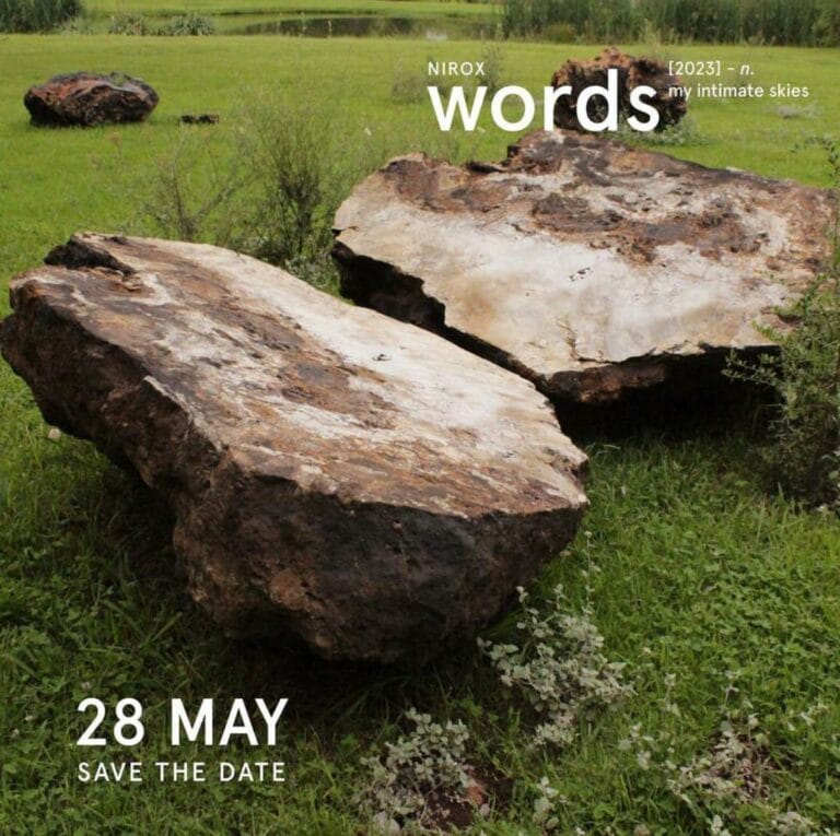 NIROX WORDS FEST | David Krut Bookstore