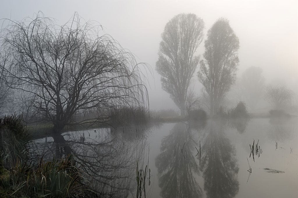 David Lurie History, Myth, Memory David Krut Books