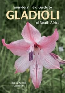 Saunders' Field Guide To Gladioli Of South Africa