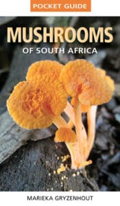 Pocket Guide: Mushrooms of South Africa (New Edition)