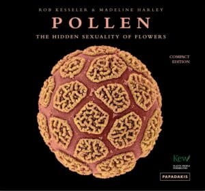 Pollen : The Hidden Sexuality of Flowers